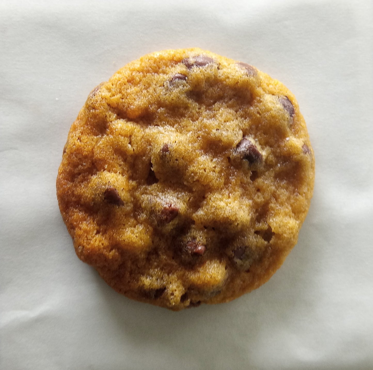 By the Dozen: Chocolate Chip - 2 1/2 bite cookies
